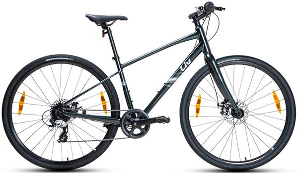 Xe đạp touring LIV Alight 4 Disc 2025